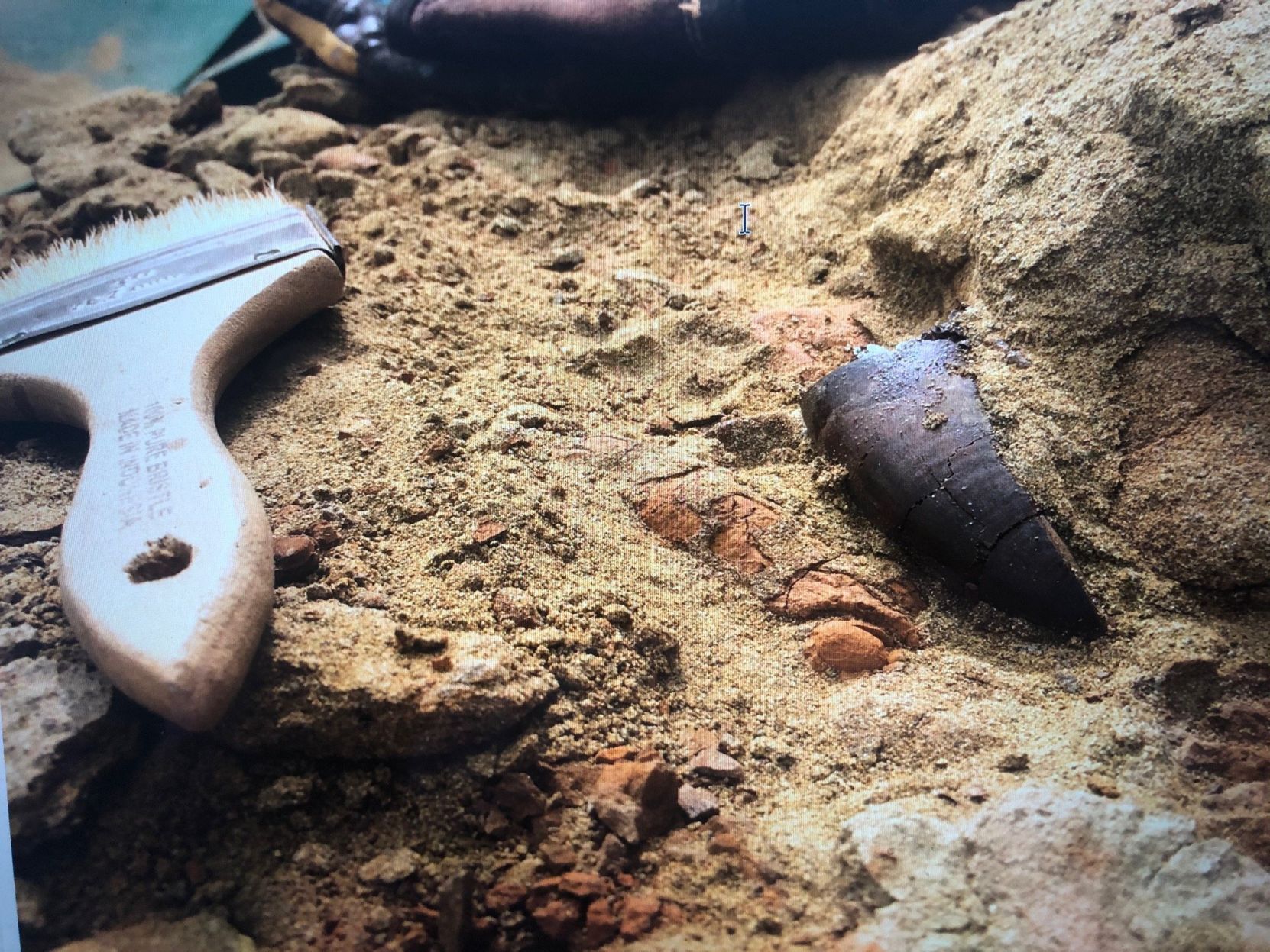 Paleoadventures